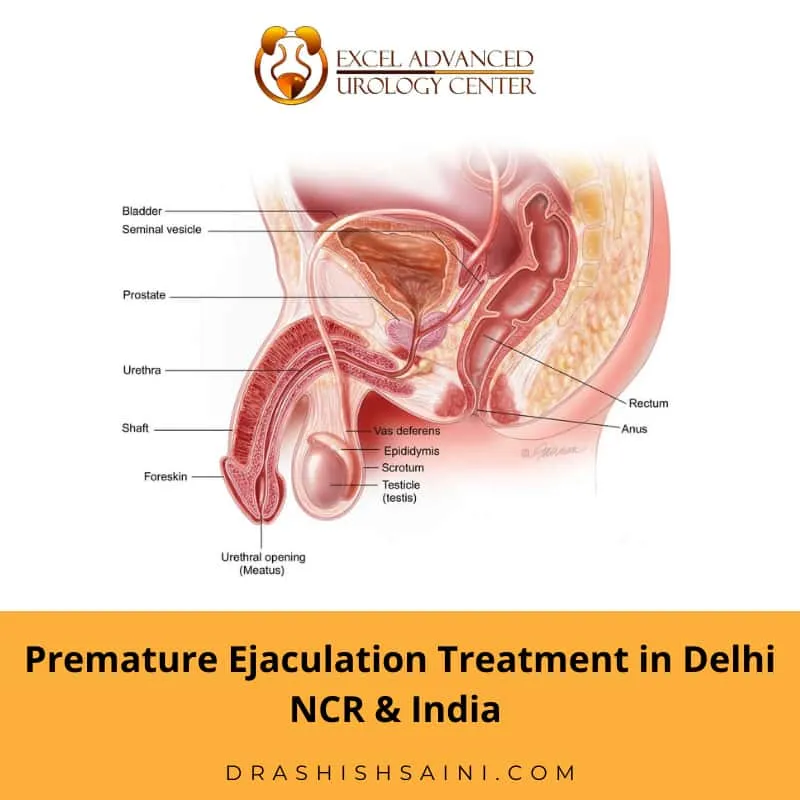 Premature Ejaculation Treatment